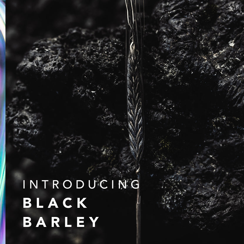 BIOEFFECT Black Barley Blog