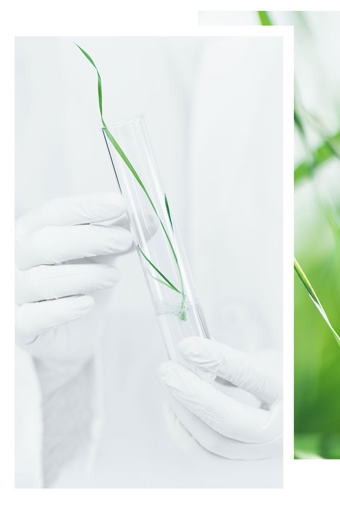 BIOEFFECT Scientist Harnessing the Power of Epidermal Growth Power for Age-Defying Skin