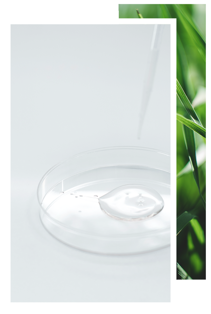 Clear Petri Dish with Water Droplet