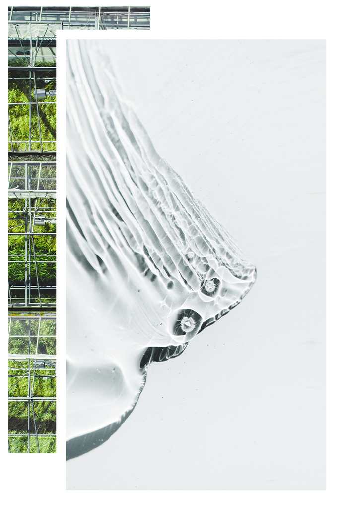Icelandic Snow & Ice Over the BIOEFFECT Greenhouse